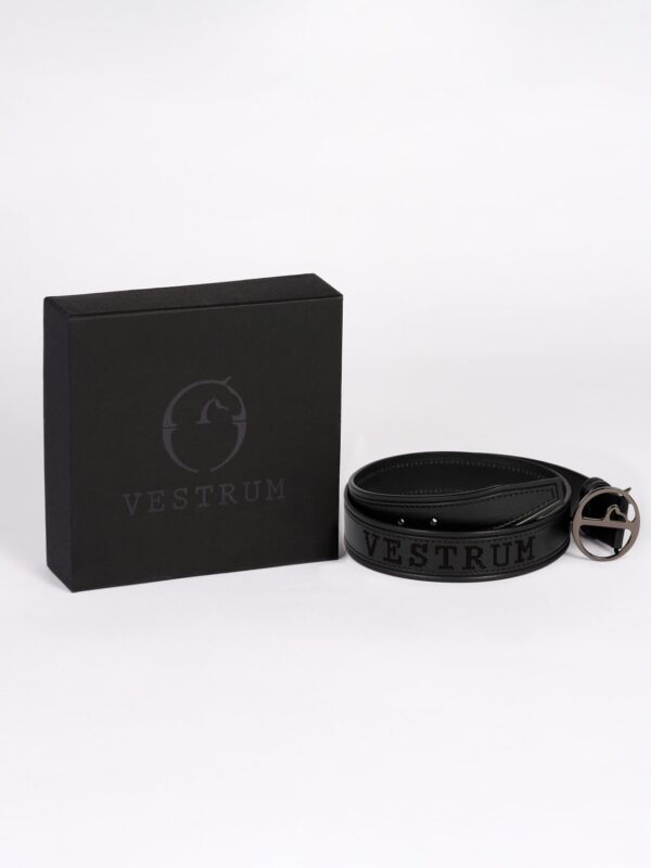 SORRENTO LEATHER BELT