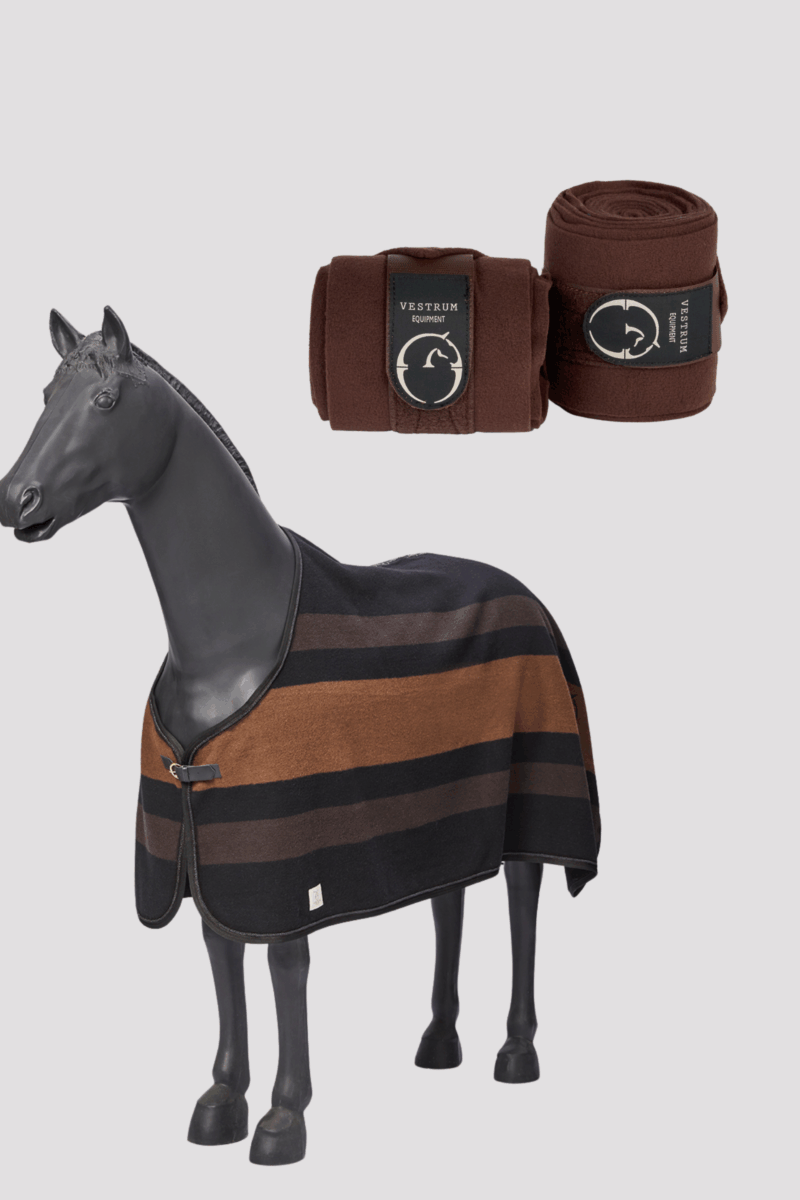Gift Box | Warm Rug Horse Set