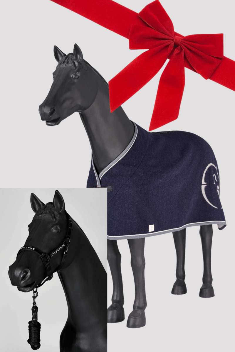 Gift Box | Couverture pour cheval Lisbona et licol Locri + longe